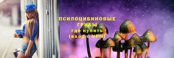 тгк Арсеньев