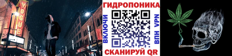 купить  сайты  Звенигово  Конопля марихуана 